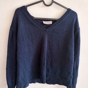 Everlane Deep Blue V-Neck Sweater